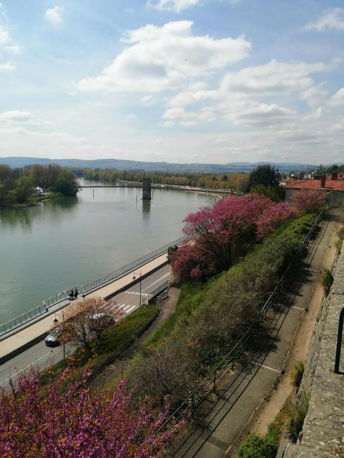 Maison "Le Figuier" Trevoux Climatisee المظهر الخارجي الصورة